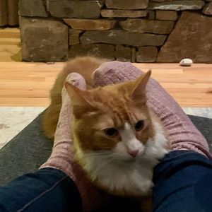 Meet your Posher, Susan